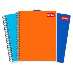 CUADERNO SCRIBE PROFESIONAL 2900 PLAST. C/100HJS RAYA