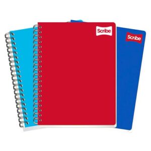 CUADERNO SCRIBE PROFESIONAL 2902 PLAST. C/100H C. CHICO