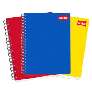 CUADERNO SCRIBE PROFESIONAL 2904 PLAST. C/100H DOBLE RAYA