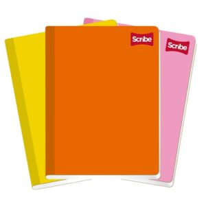 CUADERNO SCRIBE PROFESIONAL COSIDO 4508 PLAST. C/100H C.14
