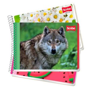 CUADERNO SCRIBE F. ITALIANA 4530 MEGA C/100H5 RAYA