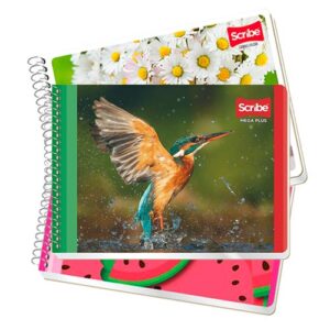 CUADERNO SCRIBE F. ITALIANA 4534 MEGA C/100H DOBLE RAYA