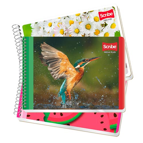 CUADERNO SCRIBE F. ITALIANA 4534 MEGA C/100H DOBLE RAYA