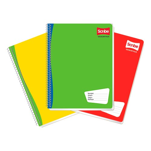 CUADERNO SCRIBE PROFESIONAL 7972 C/100H C. CHICO